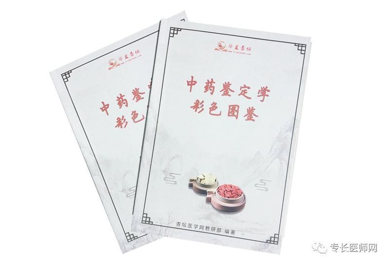 如何辨別真假刺海龍？