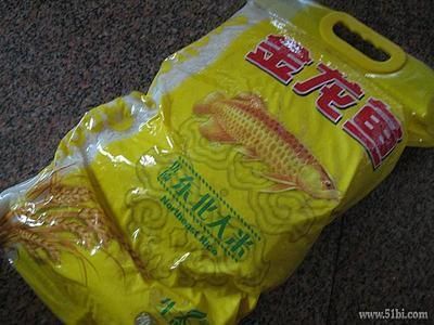 金龍魚一個月要花多少錢正常：金龍魚一個月要多少錢