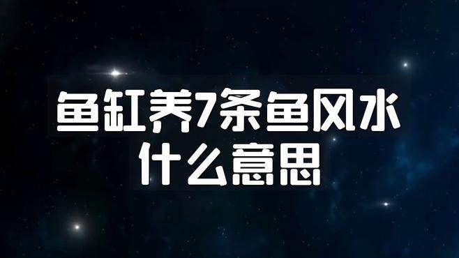 魚缸養七條魚好不好