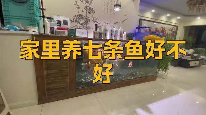 魚缸養七條魚好不好