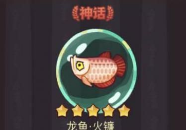 龍魚(yú)微信群（加入龍魚(yú)微信群需要注意什么？）