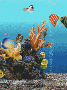 給我推薦幾款龍魚動態壁紙應用