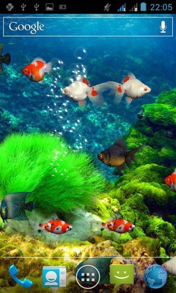 給我推薦幾款龍魚動態壁紙應用