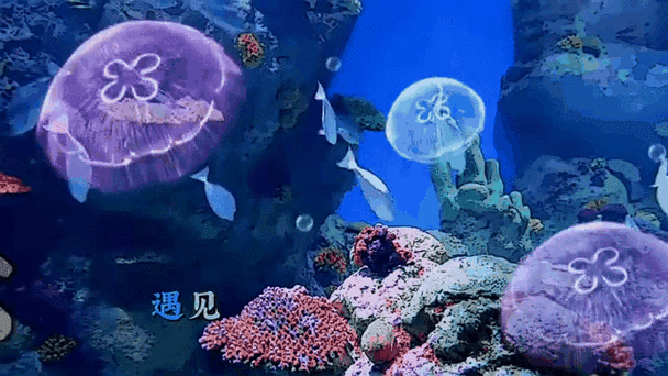 給我推薦幾款龍魚動態壁紙應用