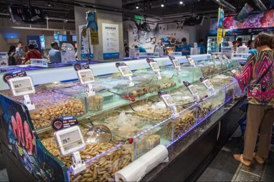 武漢水族批發(fā)市場(chǎng)，關(guān)于武漢水族批發(fā)市場(chǎng)的建議