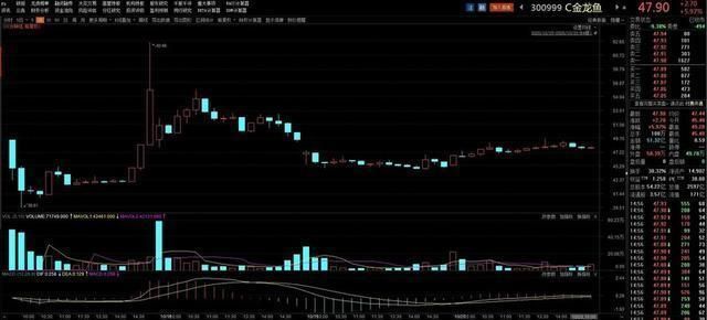 金龍魚同業競爭激烈（金龍魚如何應對同業競爭）