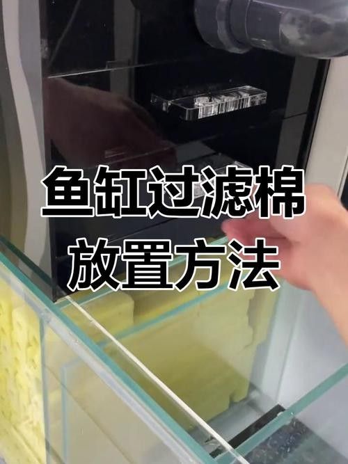 龍魚用什么過濾棉好