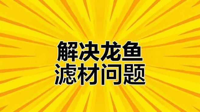 龍魚用什么過濾棉好