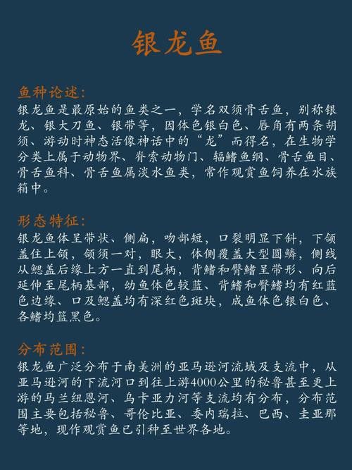 白銀龍魚價格表最新圖片