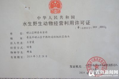 龍魚銷售許可證怎么辦理：龍魚銷售渠道拓展策略策略拓展策略拓展策略策略