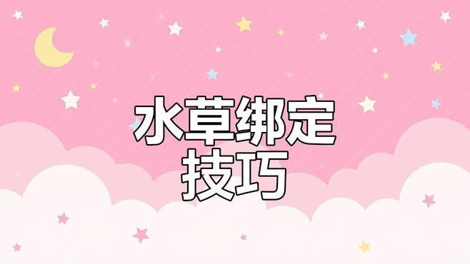 哪種固定方法最適合龍魚缸？