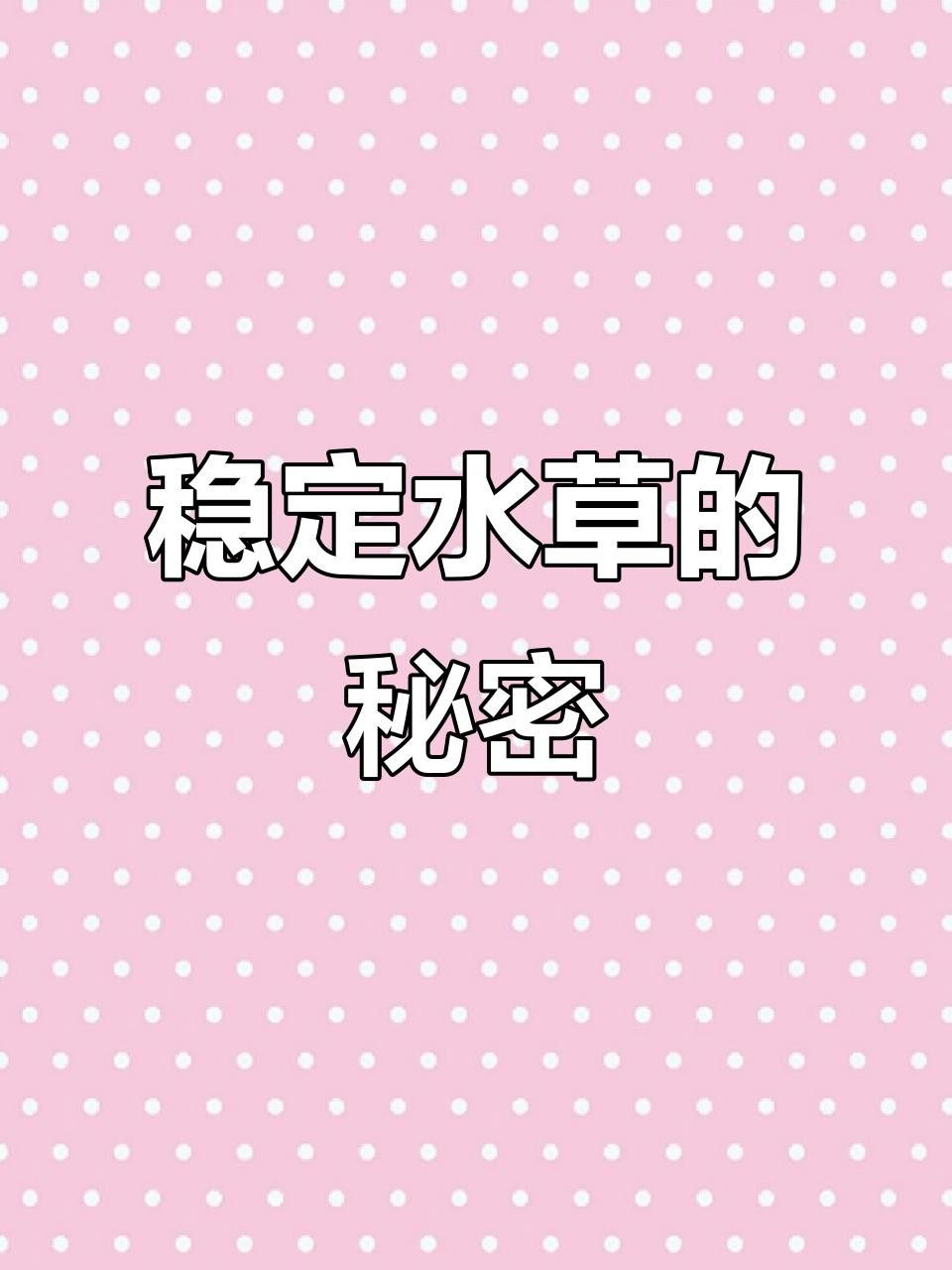 哪種固定方法最適合龍魚缸？