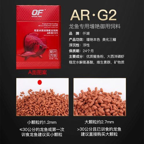 白銀龍魚吃什么長的快點呢圖片