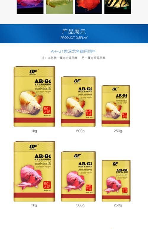 白銀龍魚吃什么長的快點呢圖片