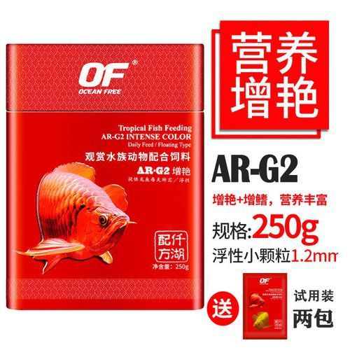 白銀龍魚吃什么長的快點呢圖片