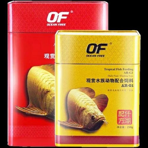 白銀龍魚吃什么長的快點呢圖片