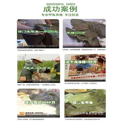 龍魚藥物副作用案例分析：龍魚藥物使用可能會(huì)帶來(lái)副作用