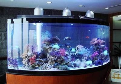 大型龍魚缸過濾器怎么用（大型龍魚缸過濾器使用方法）