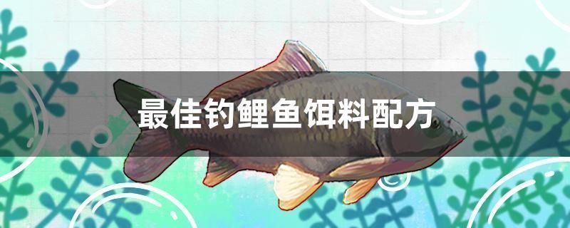 魚缸推薦尺寸多少（家庭魚缸尺寸與魚種匹配指南）