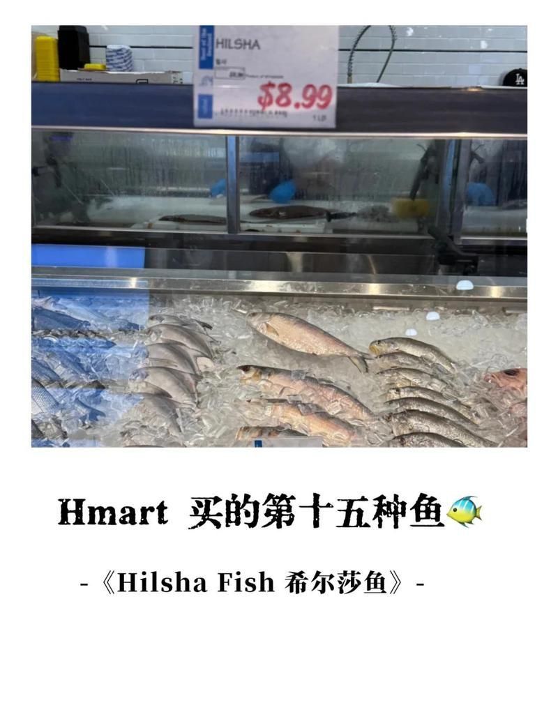 孟加拉灣十大名魚有哪些