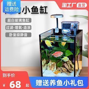 龍魚可以用鹽嗎怎么養（養龍魚需要注意哪些問題？）