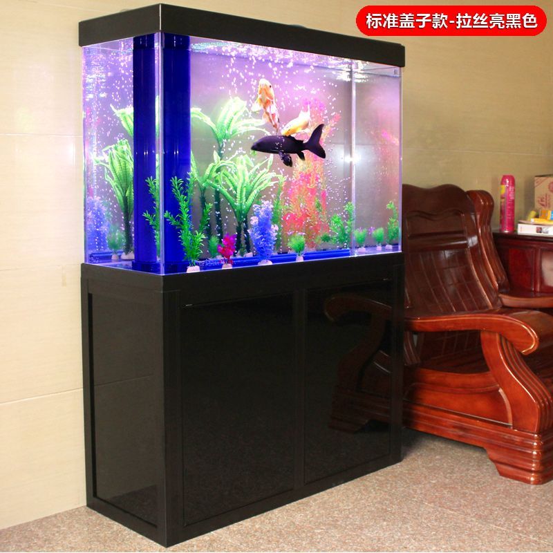 龍魚(yú)白光燈放置位置的選擇（將白光燈放在水里還是前玻璃上時(shí)，我們需要考慮幾個(gè)因素）