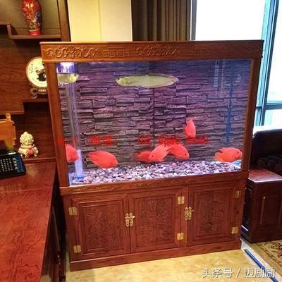 魚缸什么型的好（魚缸風水布局指南水草缸養殖技巧分享）