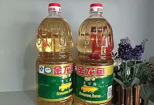 金龍魚是誰控股的