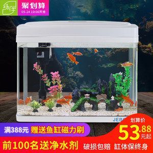 龍魚趴在缸底發呆怎么回事：龍魚趴在缸底發呆是怎么回事
