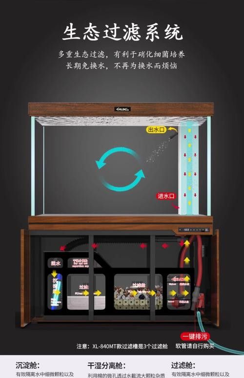 金龍魚適合什么樣的過濾系統？