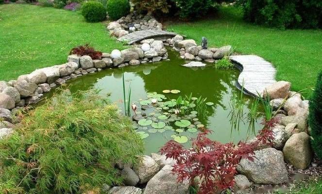 龍魚浮在水面不游怎么辦：如何檢測龍魚在水面不游動