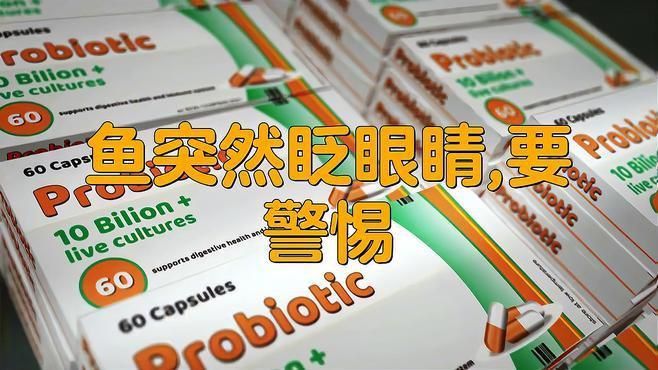 詳細介紹一下紅龍魚突眼的癥狀