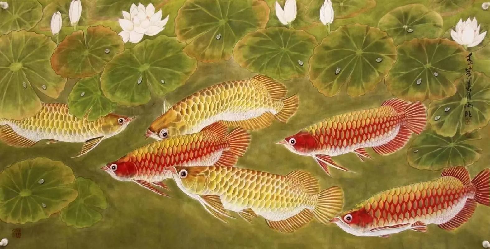 金龍魚國畫作品圖片