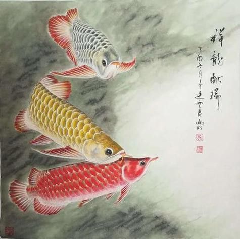金龍魚國畫作品圖片
