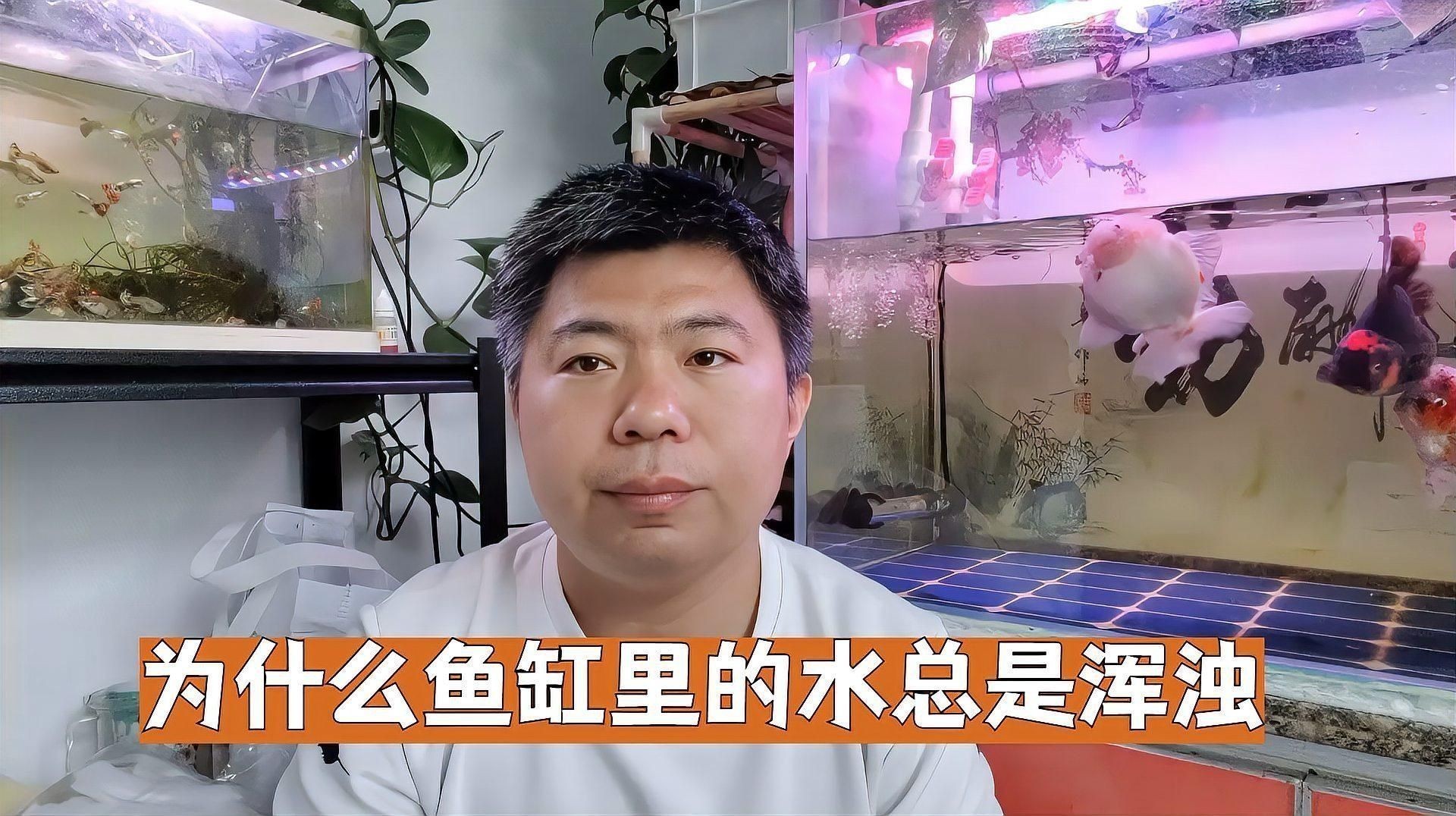 防止魚缸水渾濁的技巧