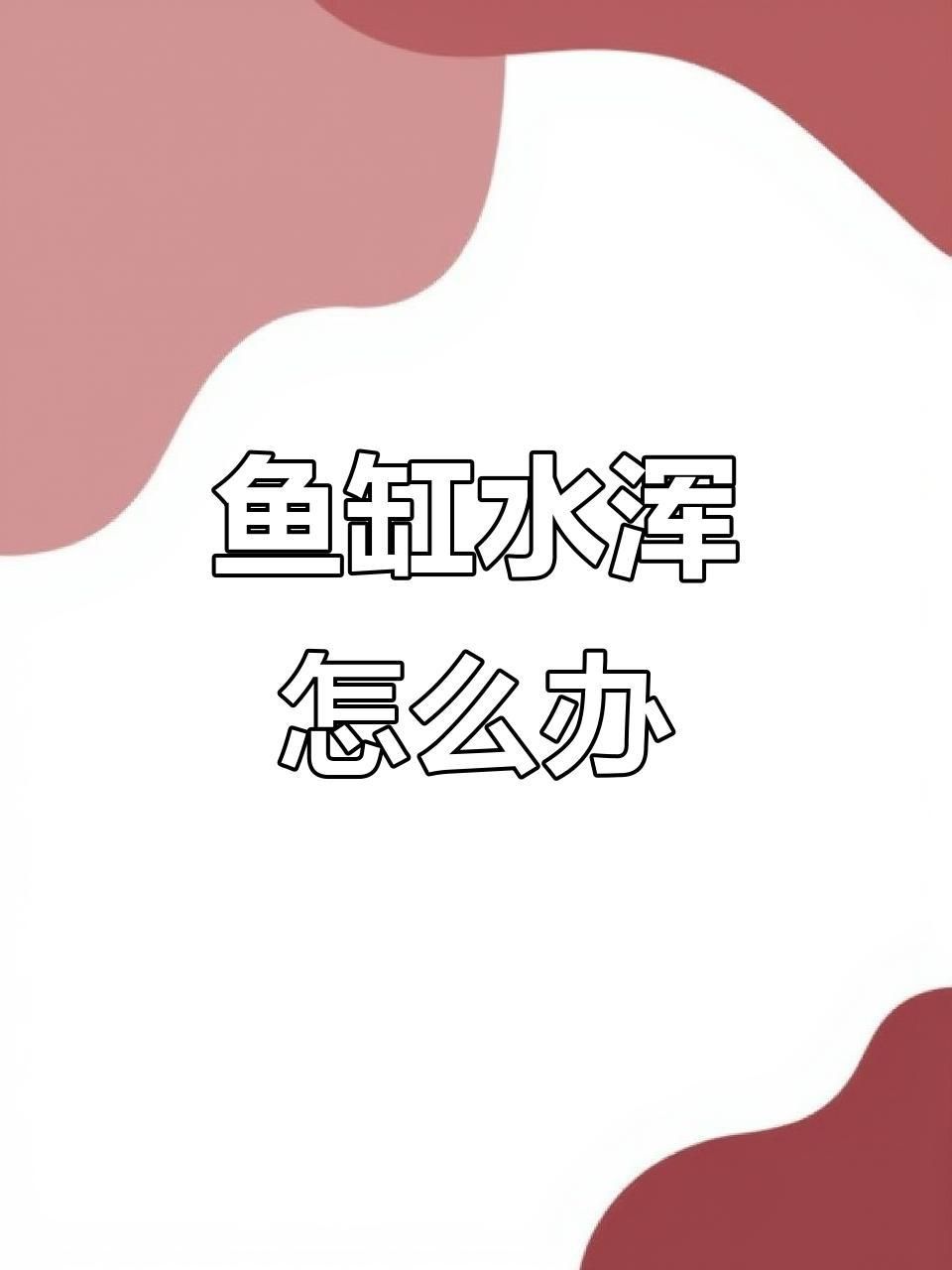 防止魚缸水渾濁的技巧