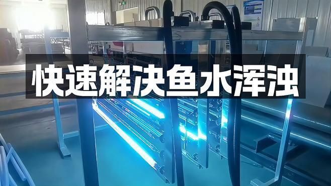 防止魚缸水渾濁的技巧