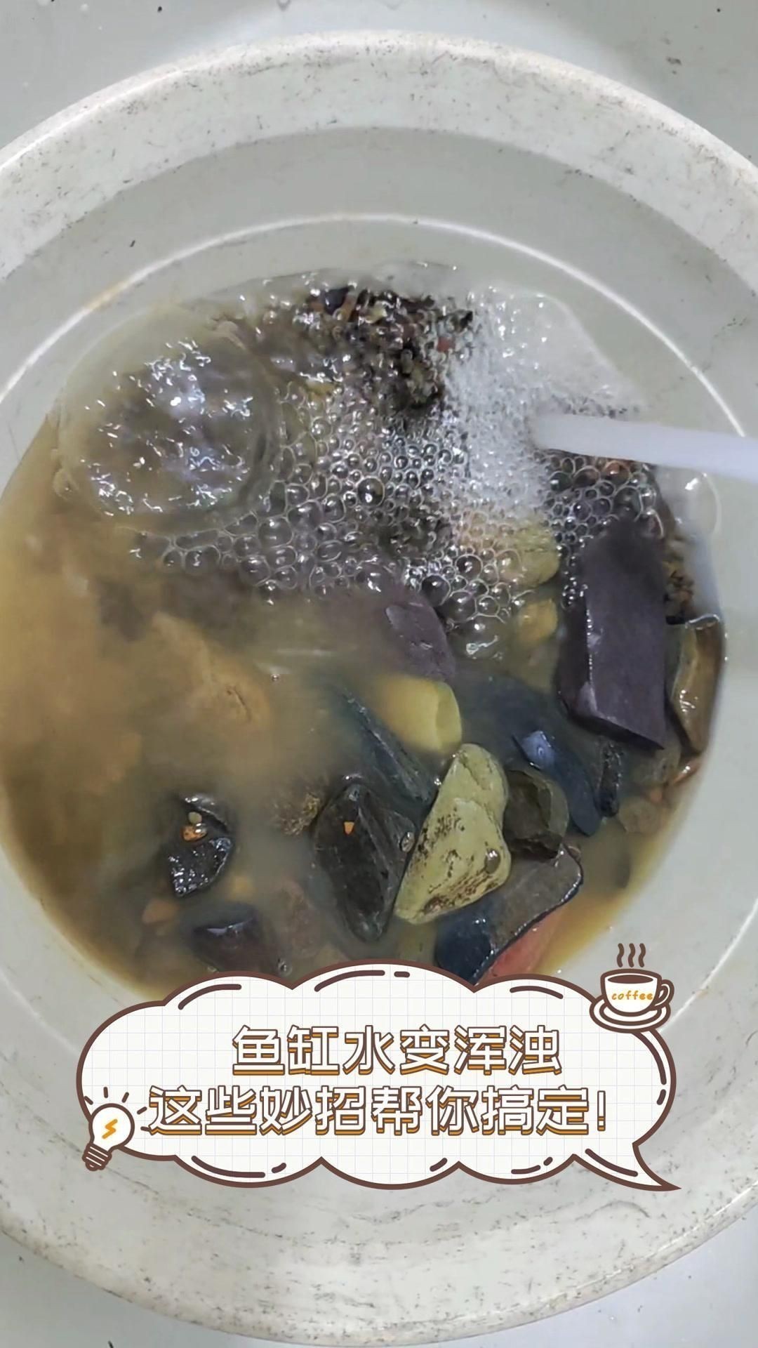防止魚缸水渾濁的技巧