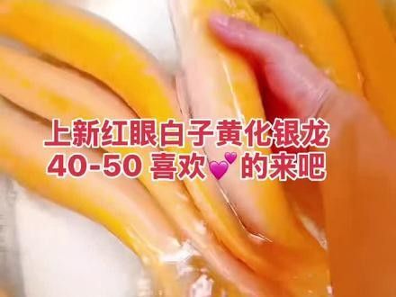 銀龍魚顏色會變紅嗎視頻
