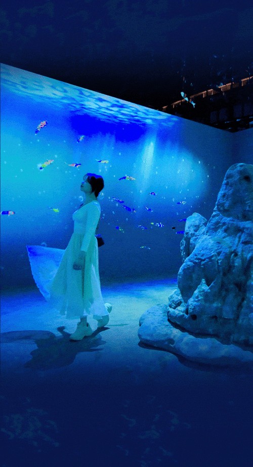 高清紅龍魚動(dòng)態(tài)壁紙有哪些