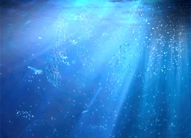 高清紅龍魚動(dòng)態(tài)壁紙有哪些