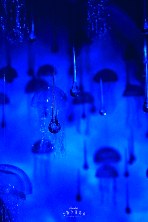 高清紅龍魚動(dòng)態(tài)壁紙有哪些