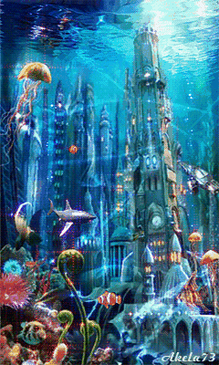 高清紅龍魚動(dòng)態(tài)壁紙有哪些