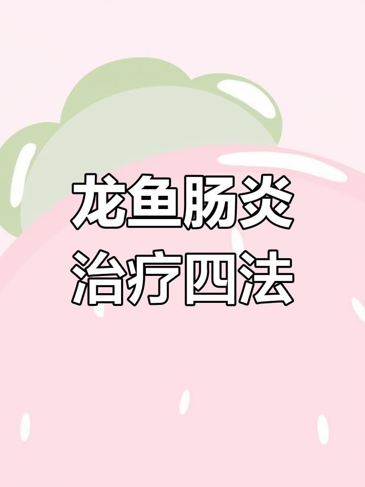 龍魚腸炎期間應該如何喂食？