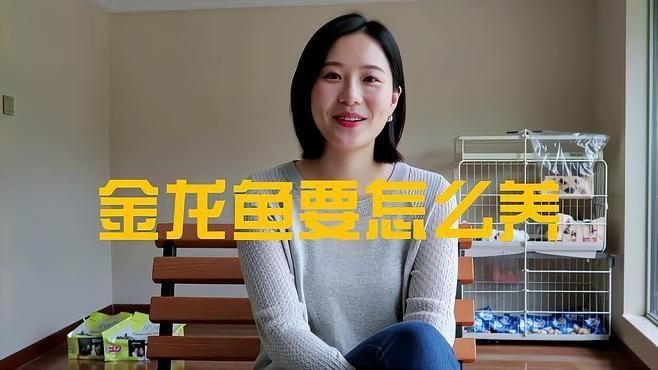 過背金龍最佳飼養(yǎng)環(huán)境