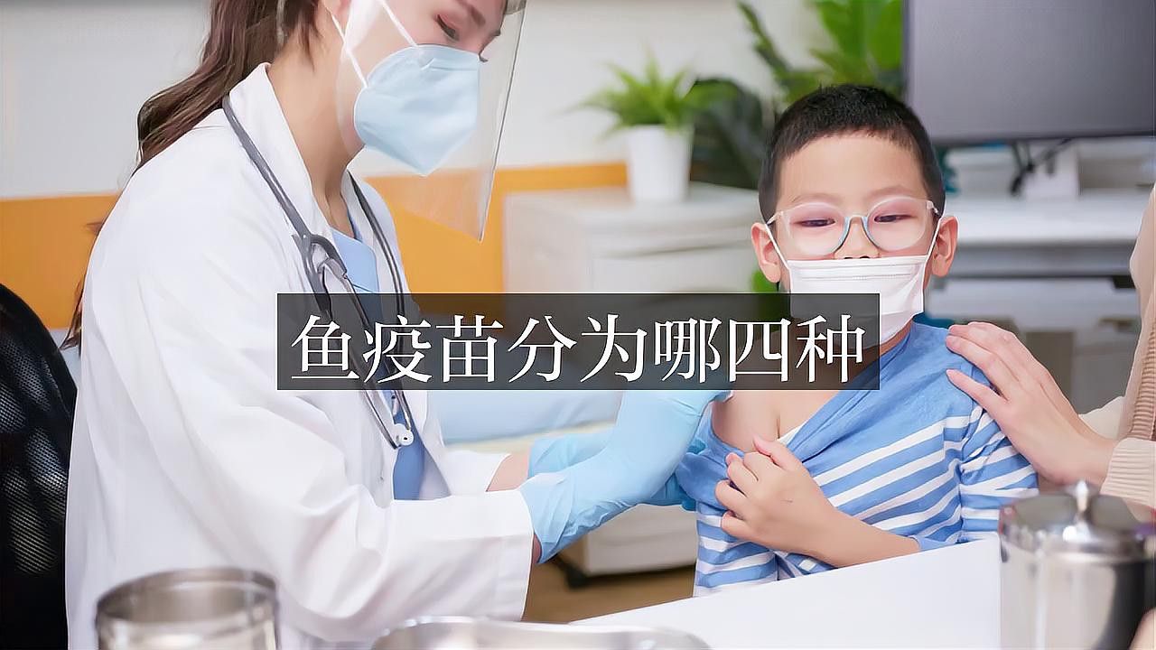 有哪些有效的龍魚疫苗？