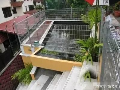 南方室外魚池養(yǎng)龍魚不加溫可以嗎（南方室外魚池養(yǎng)龍魚是否需要加溫）
