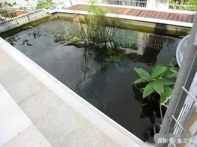 南方室外魚池養(yǎng)龍魚不加溫可以嗎（南方室外魚池養(yǎng)龍魚是否需要加溫）