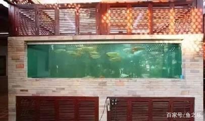 南方室外魚池養(yǎng)龍魚不加溫可以嗎（南方室外魚池養(yǎng)龍魚是否需要加溫）