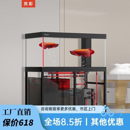 推薦幾款適合銀龍魚養殖的魚缸品牌